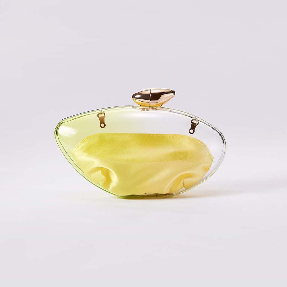 Women's Fashion Acrylic Clear Handbag: Trendy Evening Clutch