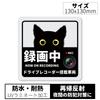 Decoyocar Car Recorder Sticker, Square, 5.1 X 5.1 Inches (13 X 13 Cm), Black
