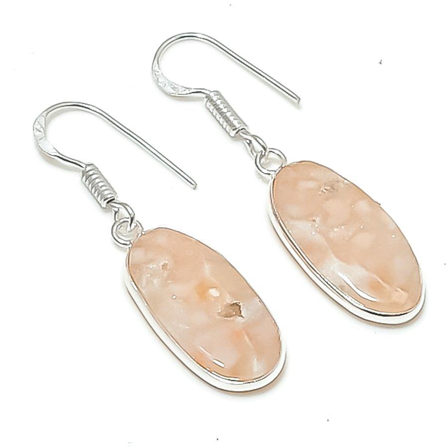 

Natural Fossil Coral Gemstone 925 Sterling Silver Jewelry Earring 1.58 AEE-10937