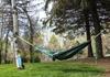 Grand Trunk Grand Trunk Starter Hammock Japanese [Genuine Product] (Green)