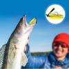 Fishing Jig Head with Weed Guard Bass Fishing Lure Soft Silicone Skirted Hook for Freshwater and Saltwater Angling Tackle