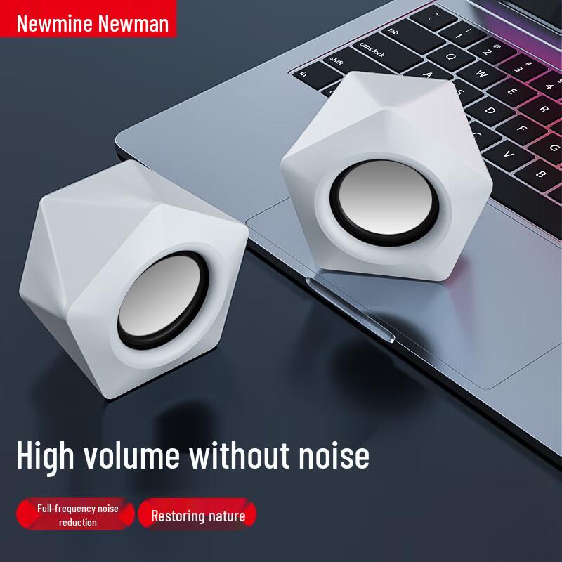 Newmine Desktop & Laptop Computer Speakers