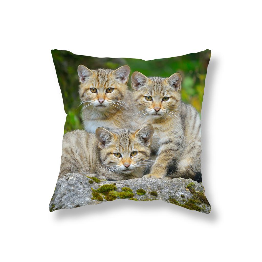 Cute Kitten Throw Pillowcase Sofa Party Decoration Office Game Chair Cushion Cover Room Bedside Home Decor Pillowcase 45x45cm