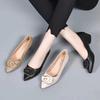 Fashion Women's Fashion Thin Heel Shoes Autumn New Shallow Mouth Pointed Head Metal Buckle Slip-on Wear-resistant High Heels