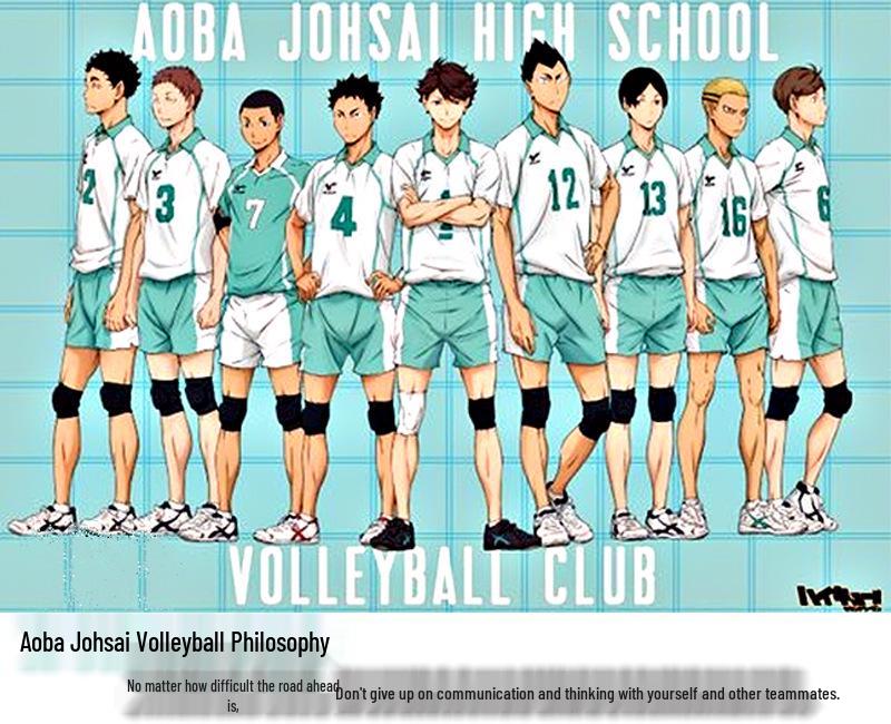 Haikyuu!! Aoba Johsai Oikawa & Iwaizumi Cosplay Jersey Set