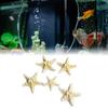 Fish Tank Starfish Decor Unique Beautiful Starfish Ornament Set for Home Aquarium DIY Photo Frame Wind Chime Type 1