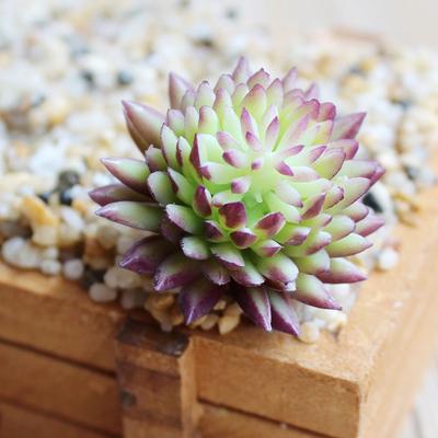 Τεχνητό πλαστικό παχύφυτο δώρο Cactus Echeveria Flower Διακόσμηση γραφείου σπιτιού