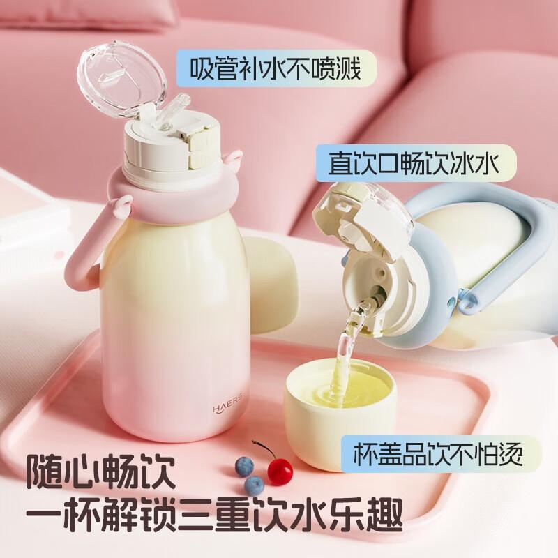 HAERS Insulated Straw Tumbler