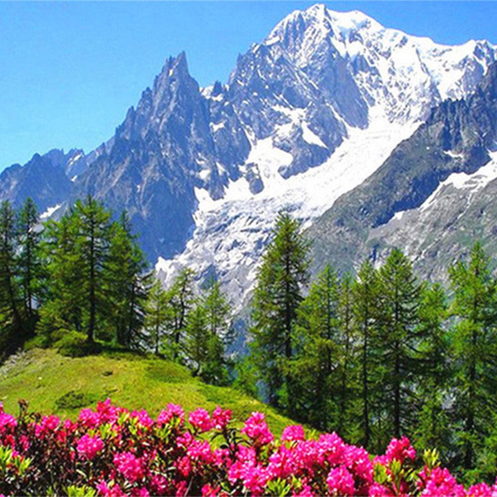 MomoArt Diamond Painting Blumen Vollrunde Bohrer Diamantmosaik Berg 5D DIY Kunst Perlenstickerei Landschaft Heimdekoration