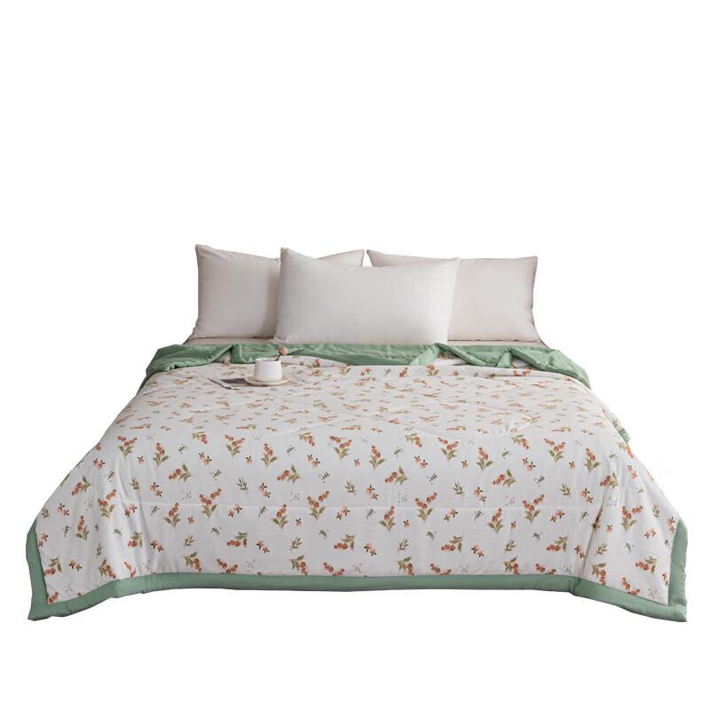 Hengyuanxiang Happy Valley Soybean Soft Summer Quilt