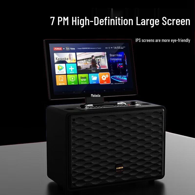 Malata M+9096 Portable Karaoke Speaker with Display CN plug (adapter included)