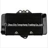 VTR250 Engine Radiator Water Tank Assembly
