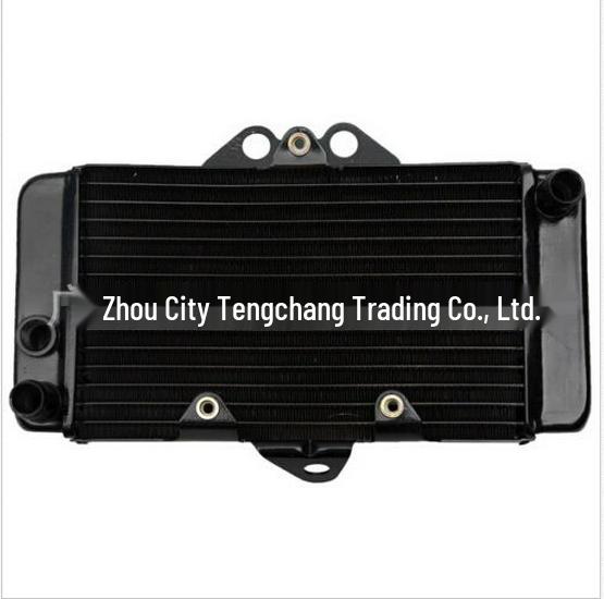 VTR250 Engine Radiator Water Tank Assembly