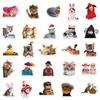 10/30/50pcs Funny Animal Cat Meme Graffiti Stickers Cute Kitten Decals Waterproof DIY Scrapbook Phone Laptop Bike Sticker Decor