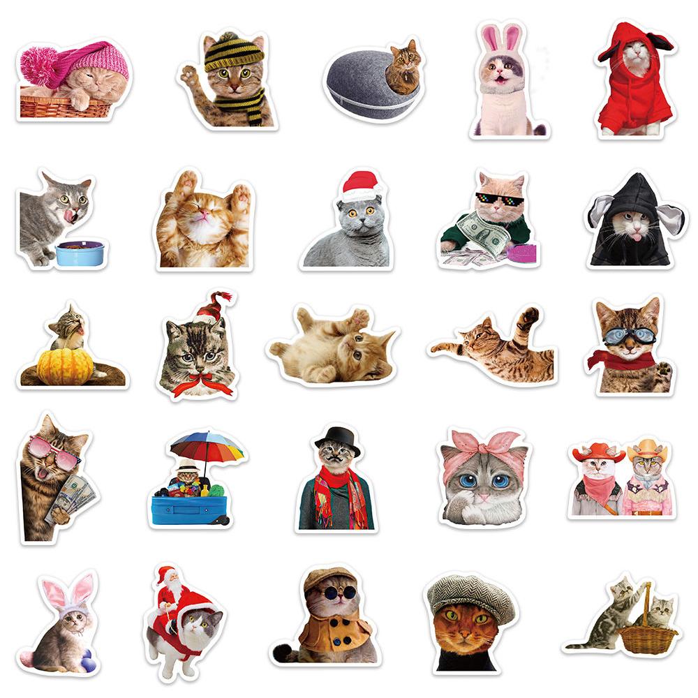 10/30/50pcs Funny Animal Cat Meme Graffiti Stickers Cute Kitten Decals Waterproof DIY Scrapbook Phone Laptop Bike Sticker Decor