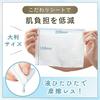 Bifesta Moisturizing Cleansing Water Sheet Bright Up Wipes 46 sheets 3 packs