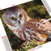 5D Diamond Art Painting Animal Diamond Embroidery Cross Stitch Owl Pictures Of Rhinestones Mosaic Handicraft