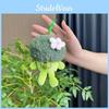 Charming Green Broccoli Plush Keyring With Colorful Chick Design Kids For