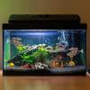 Simulated Aquarium Landscaping with Suction Cups Fish Spawning Leaf Betta Fish Rest Leaf  Aquariums