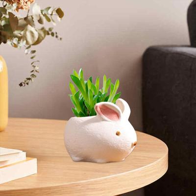 Cartoon Duck Rabbit Fox Bird Fish Shape Flower Pot Ceramic Plants Container Ornament Figurine Decorative Planter