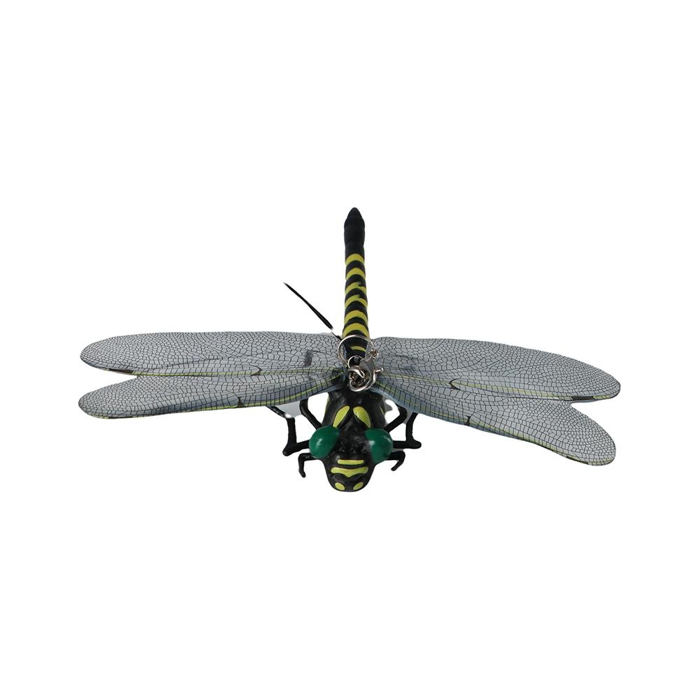 Gift Science Toys 12cm PVC Insects Model Animal Figures Dragonfly Model Dragonfly Action Figures