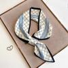 Long Scarf for Women Accessories for Shirts, Thin Scarf, Simple and Easy To Match Women's Scarf for All Seasons