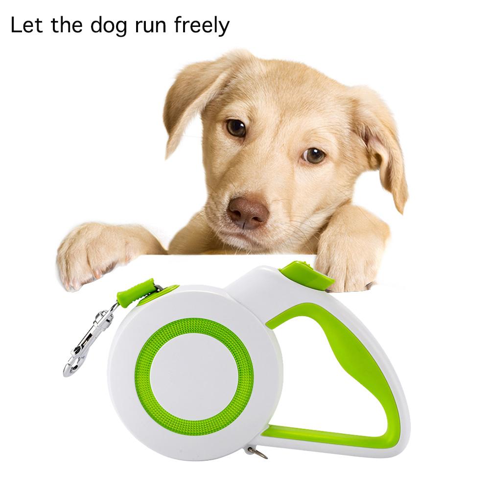 retractable dog runner