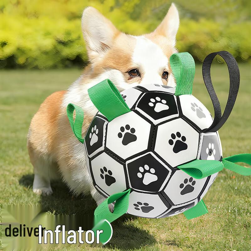 Pet Dog Chew & Play Football Toy