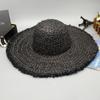 Natural Lafite Straw Hat Sunscreen Large Brim Beach Hat Trendy Foreign Style Color Fur Edge Dome UV Protection Sun Visor