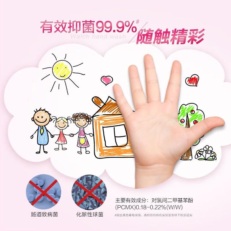 

Walch Antiseptic Foaming Hand Wash with Moisturizer