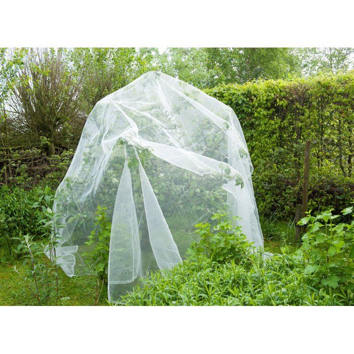 Filet protection contre ver de pomme/poire et grêle - NATURE - 5,2 x 5m - 3 x 6mm