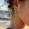 Stainless Steel Drop Earrings Featuring Zircon and Elegant Tassels Designs for Comfortable All Day Wear