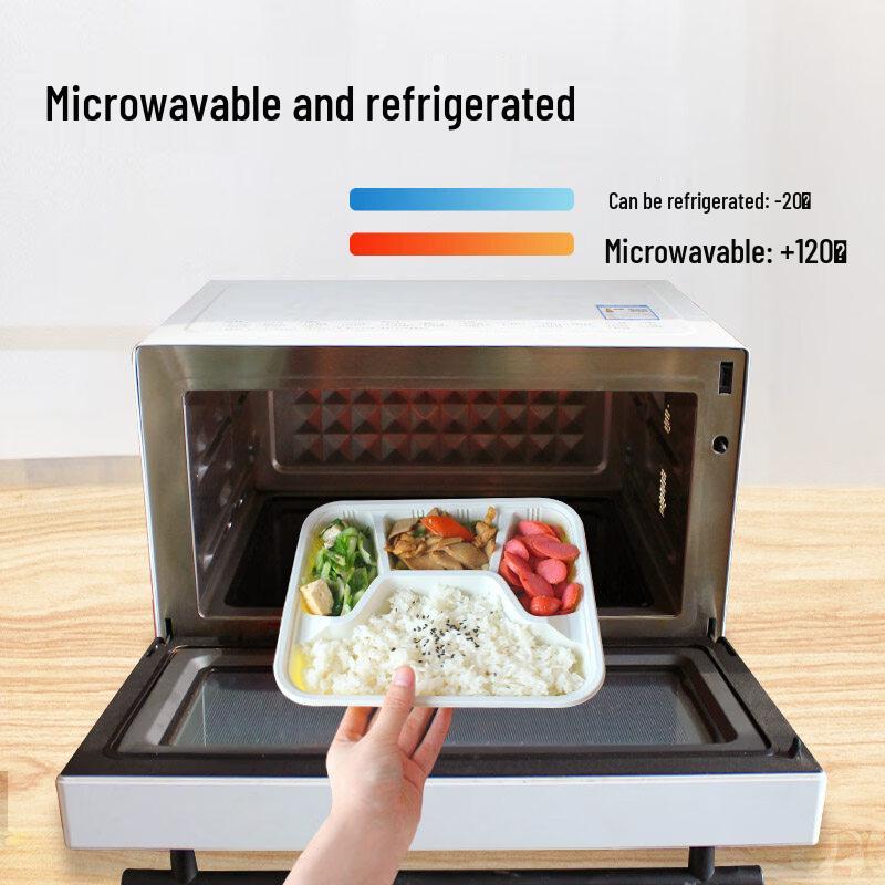 ZISIZ Disposable Plastic Lunch Box