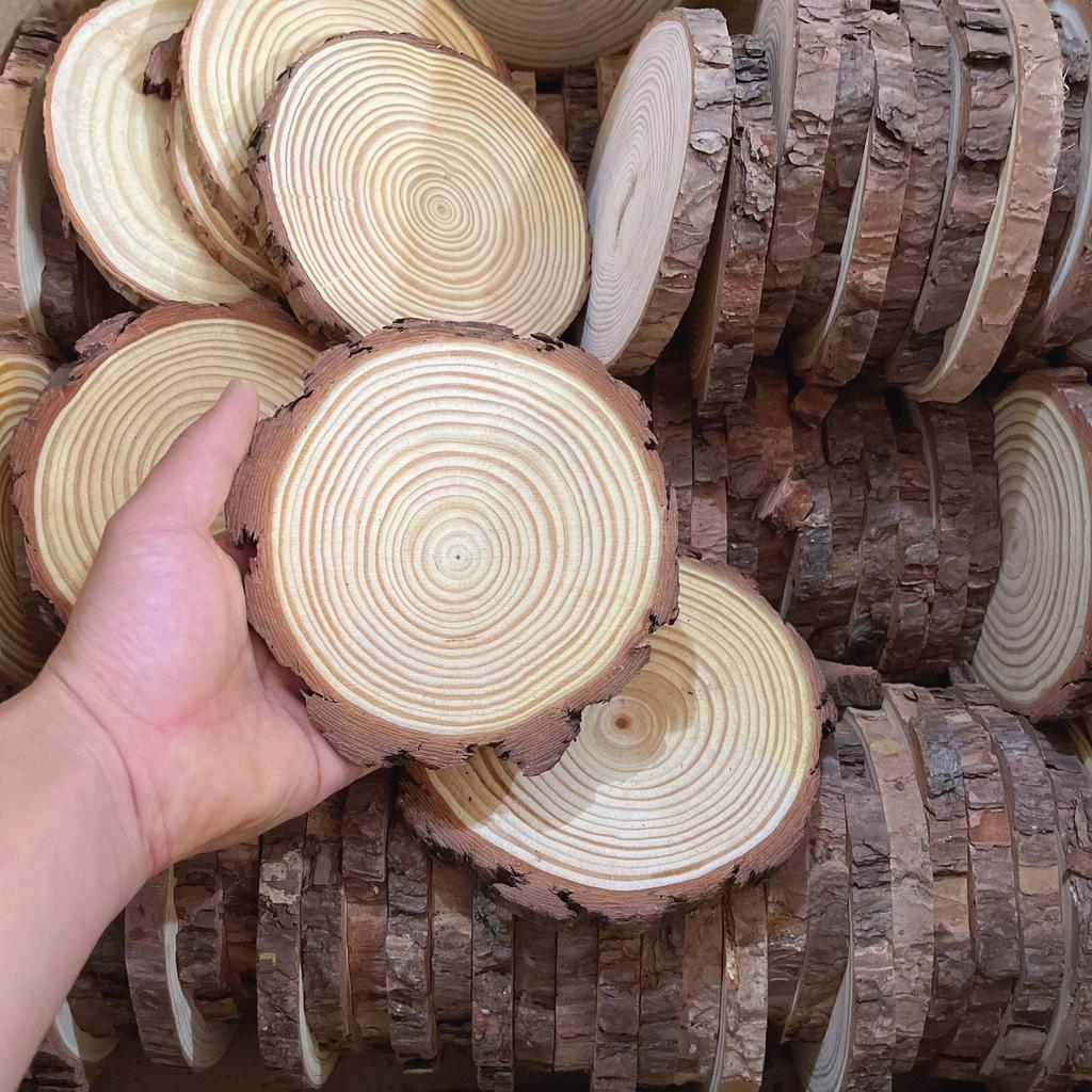 DIY Hand-Painted Wooden Slices for Crafts and Kindergarten Decor – Small Natural Wood Pieces with Growth Rings