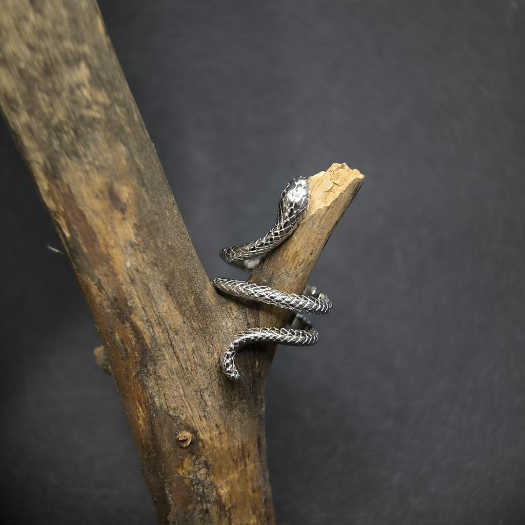 Silberring ohne Steine, Produktgewicht 6,68 g (2177555)