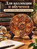 Madagascar natural conch fossil slice / mineral conch disc fossil specimen
