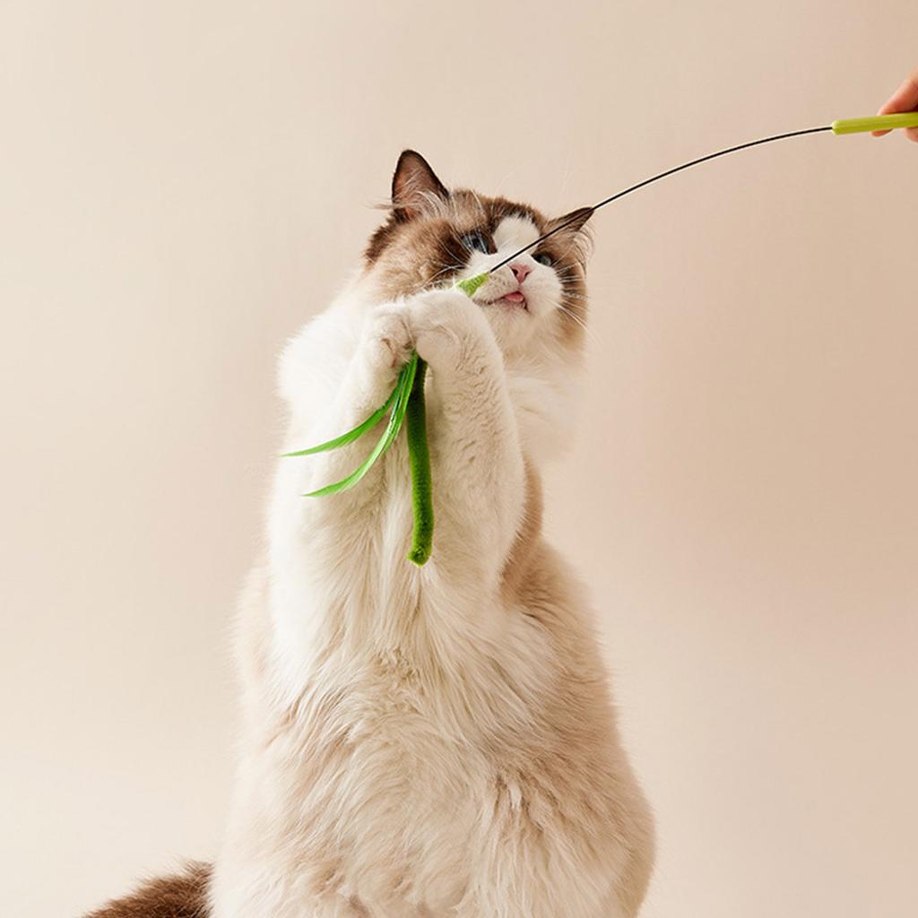 Steel Wire Cat Play Wand for Active Pet Activity and Bonding Setaria Teaser for Indoor Cats Exercise for Felines Cats