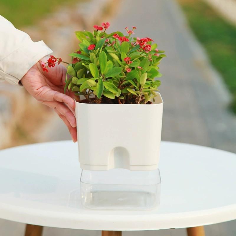Self Watering Square Flower Pot with Removable Water Reservoir for Indoor Home and Outdoor Balcony Gardening
