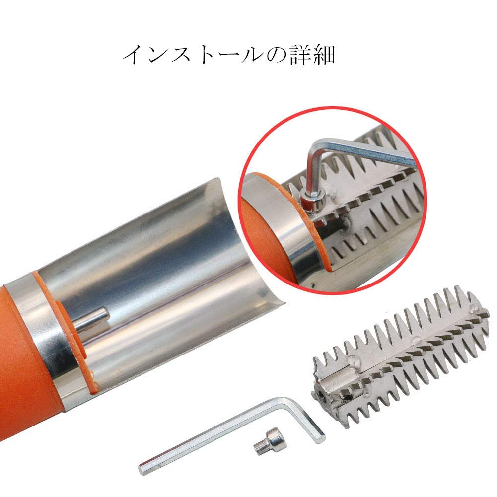 Ausuc Electric Fish Scale Fast Quick Scale Kitchen for Commercial and Office Use Remover, Waterproof, Removal, Cleaner, Remover, Utensil, Fishermen,