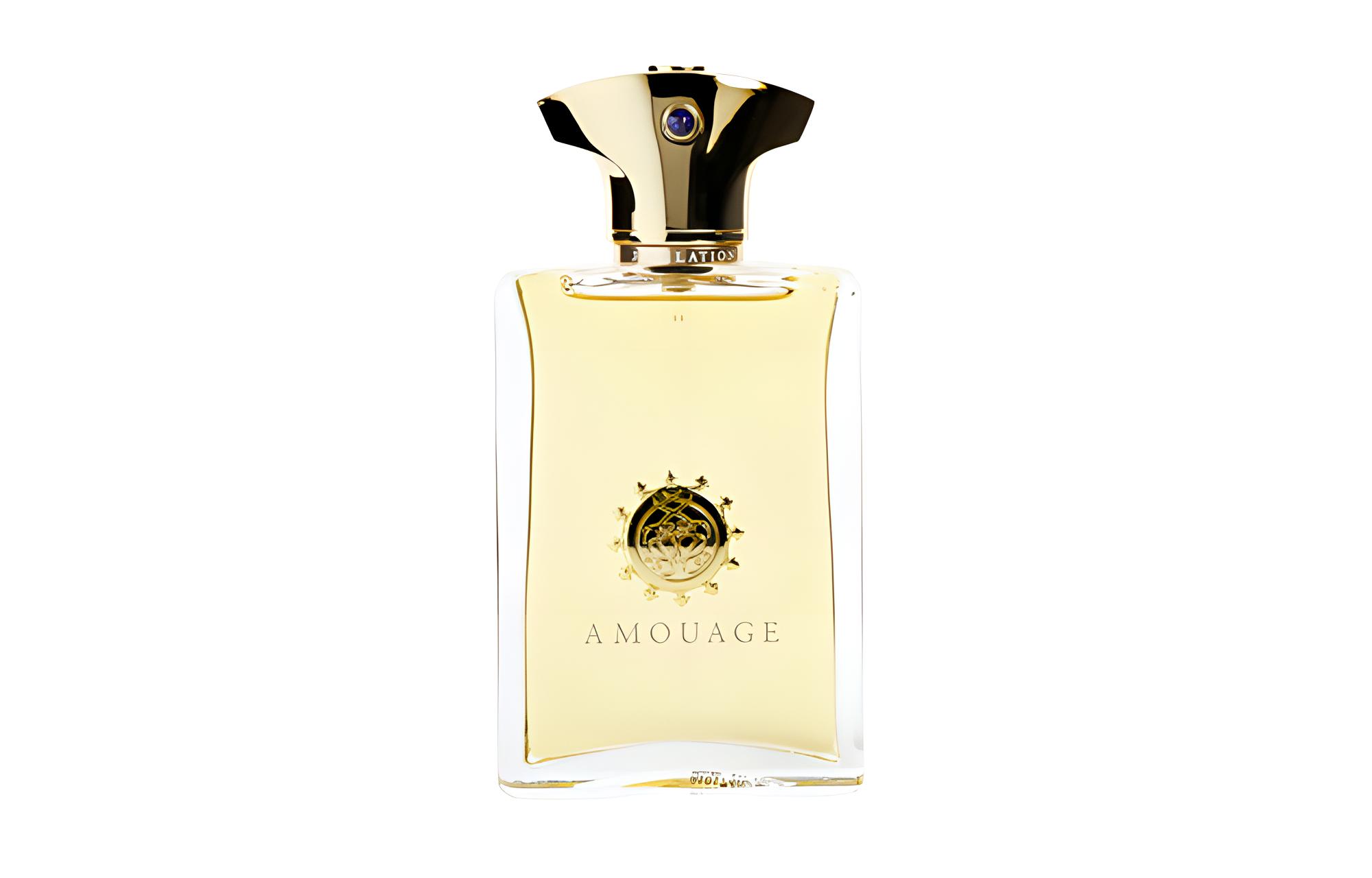 AMOUAGE La Collection Principale Lamentation au Clair de Lune Parfums pour Homme Oriental Fougère Eau De Parfum EDP 100ml 100ml
