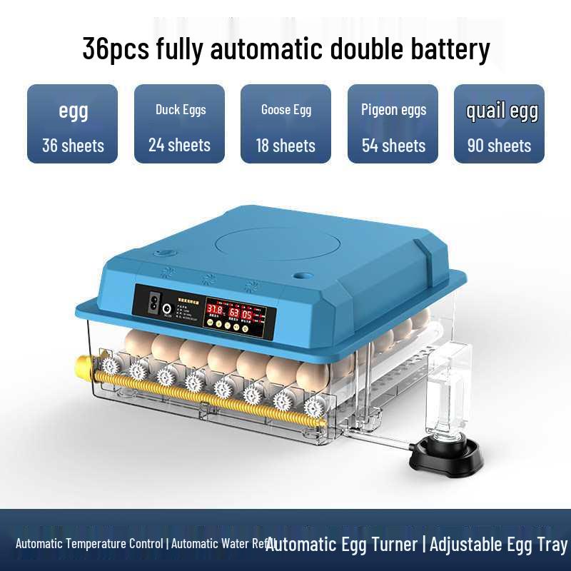 Smart Mini Household Incubator: Fully Automatic Quail & Chicken Egg Incubator with Constant Temperature Control