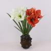 Künstlicher Ritterstern Cymbidium mit Blättern - Dekorative Kunstblumen für Zuhause, Wohnzimmer und Esstisch