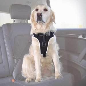 Harnais de sécurité - TRIXIE - Dog Protect L - Noir - Extérieur