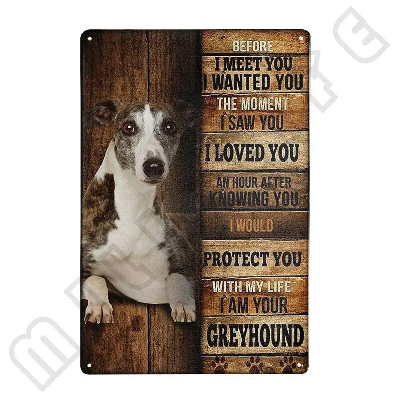 Windhund Metallschild Ich bin dein Freund Ich bin dein Windhund Poster Badezimmerzimmer Küche Garage Zuhause Kunst Wanddekoration