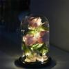 Gold Foil Rose Glass Cover Multipurpose Rose Decoration In Glass Dome with Black Wood Base Romantic Valentine's Day Gifts