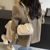 Korean High-end Bag Summer 2025 New Niche Design Chain Crossbody Pleated Bag Women's Versatile Bucket Bag