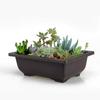 Plastic Succulents Balcony Home Decor Bonsai Pots Planters Garden Supplies Nursery Pots