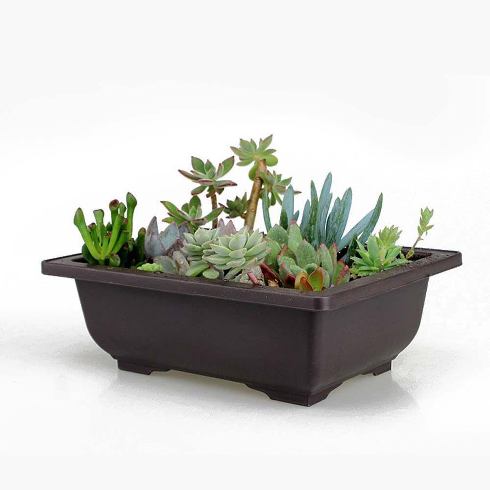Plastic Succulents Balcony Home Decor Bonsai Pots Planters Garden Supplies Nursery Pots