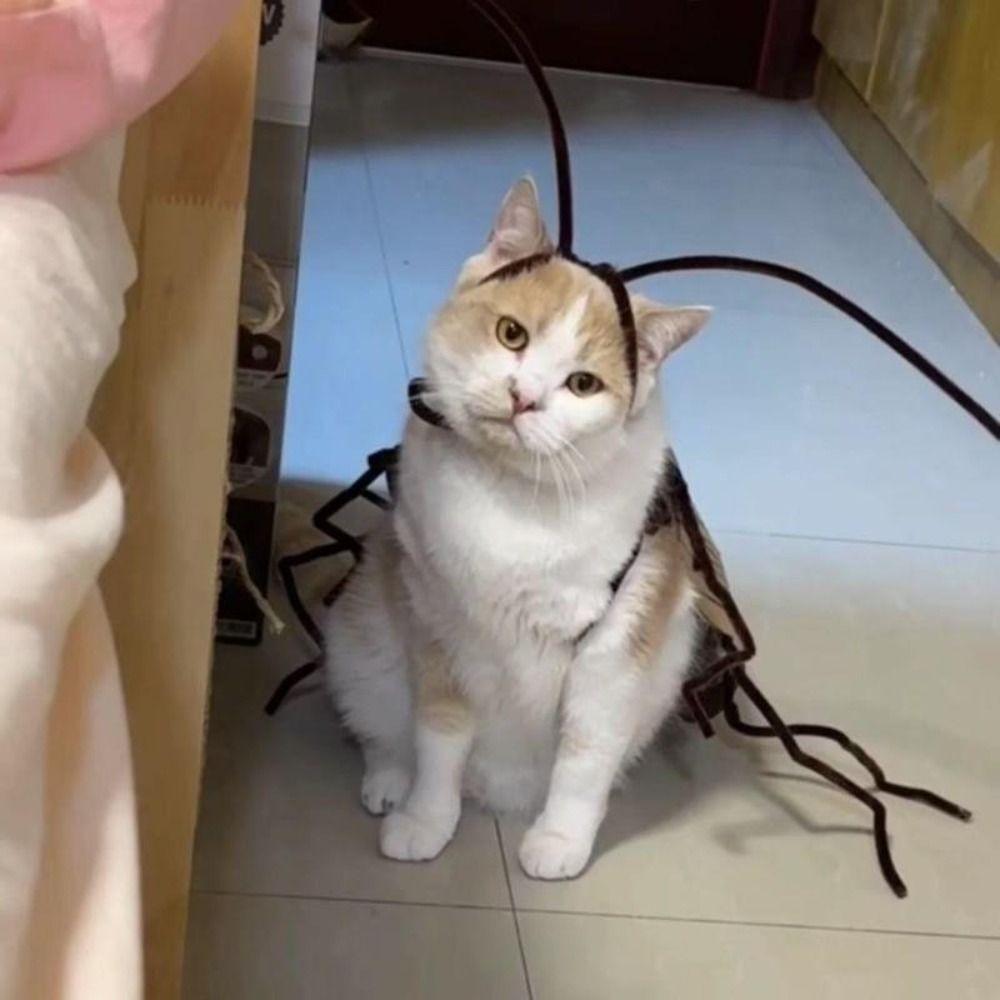 Indoor Playing Cat Toys Dress Up Material Pack Cosplay Accessory Funny Cat Cockroach Clothing