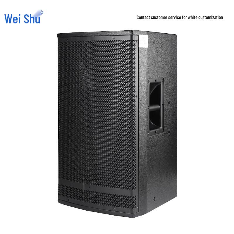 Weishu YD10 10-inch Professional Passive Speaker (CN version)